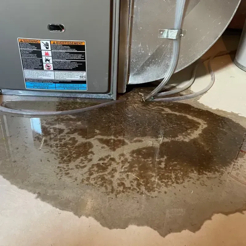 Appliance Leak Cleanup in Lambert, MS